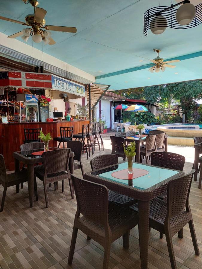 Ice Bear Bar & Tourist Inn Dauis Dış mekan fotoğraf