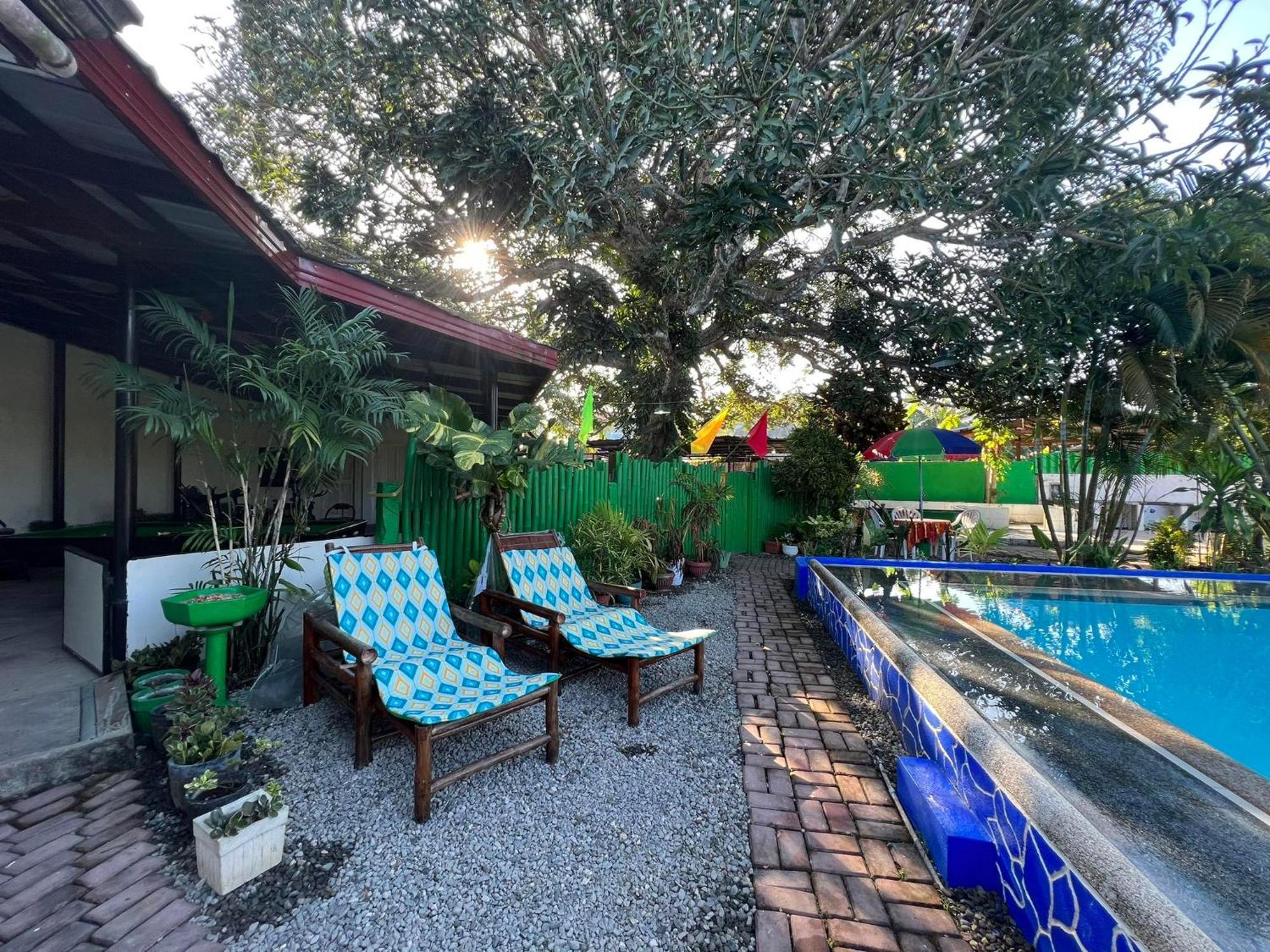 Ice Bear Bar & Tourist Inn Dauis Dış mekan fotoğraf