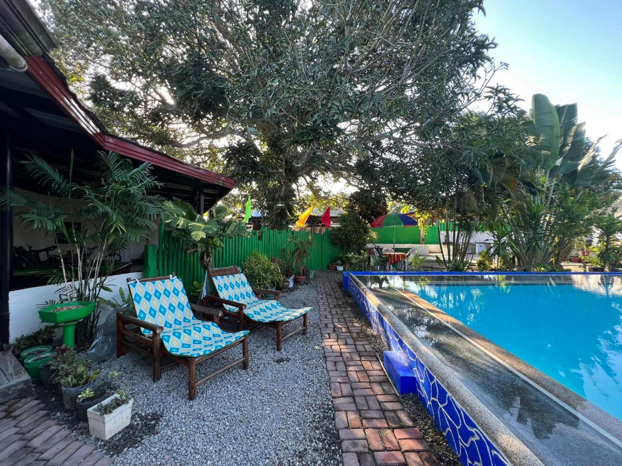 Ice Bear Bar & Tourist Inn Dauis Dış mekan fotoğraf