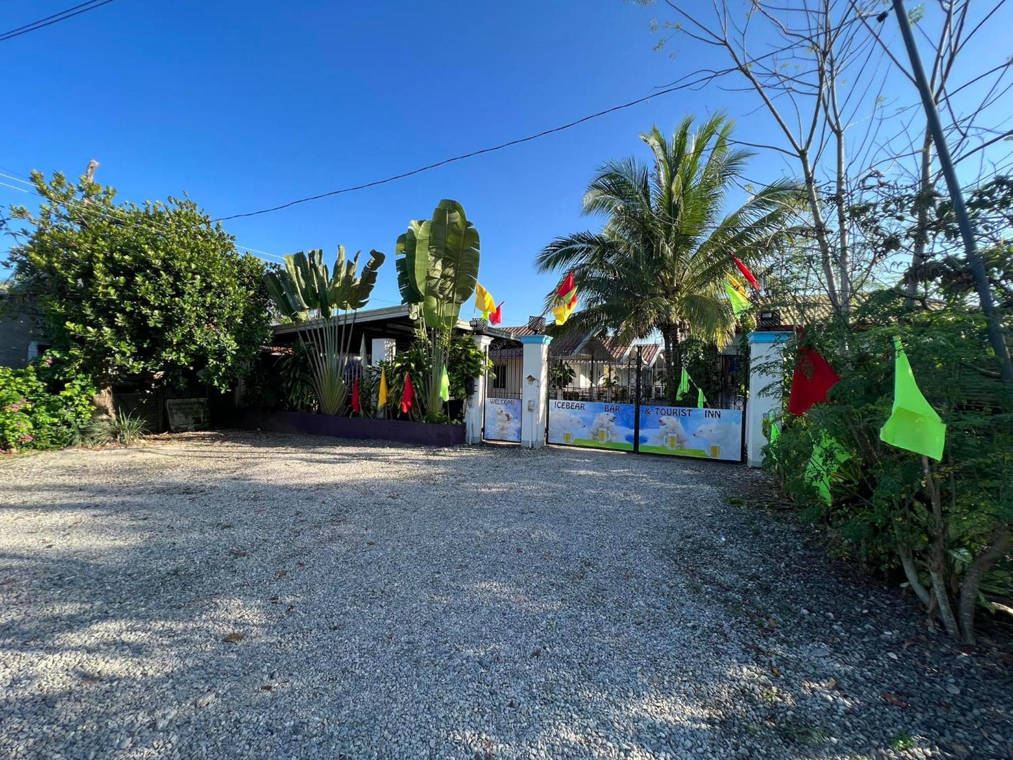 Ice Bear Bar & Tourist Inn Dauis Dış mekan fotoğraf